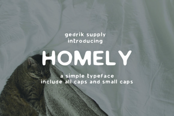 Homely: Bringing Vintage Charm to Your Modern Design Projects
