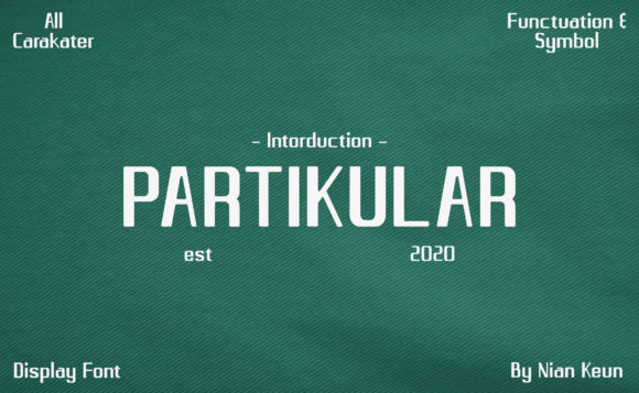 Why Partikular Stands Out as a Versatile Choice for Modern Design Projects